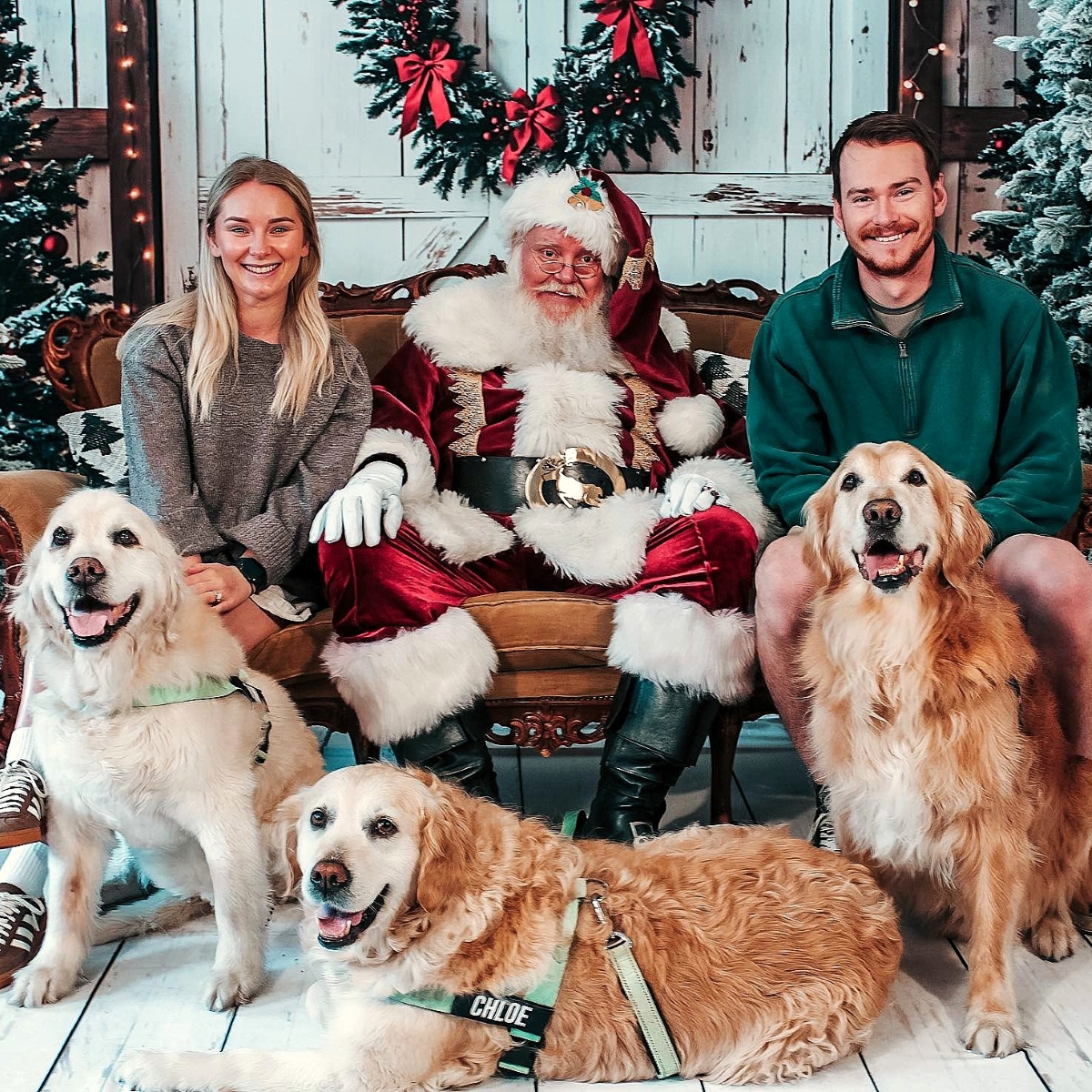 Pet Photos